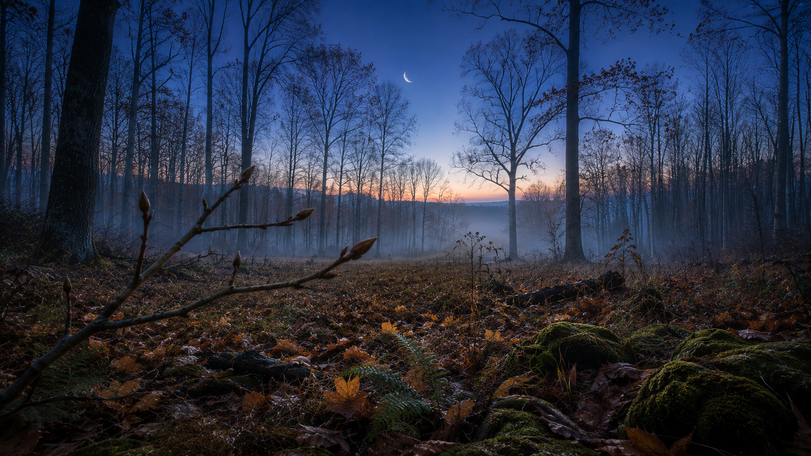 Waning Crescent Moon Meaning: Rest, Stillness, and the Wisdom of Dormancy